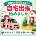 ピックアップ5